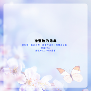 醫治的恩典