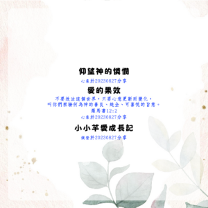 仰望神的憐憫