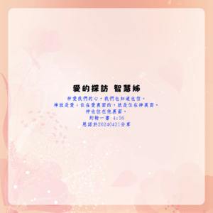 愛的探訪 智慧姊