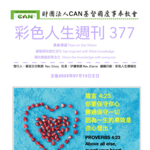 彩色人生週刊 第 377期