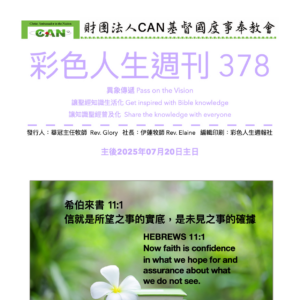 彩色人生週刊 第 378期