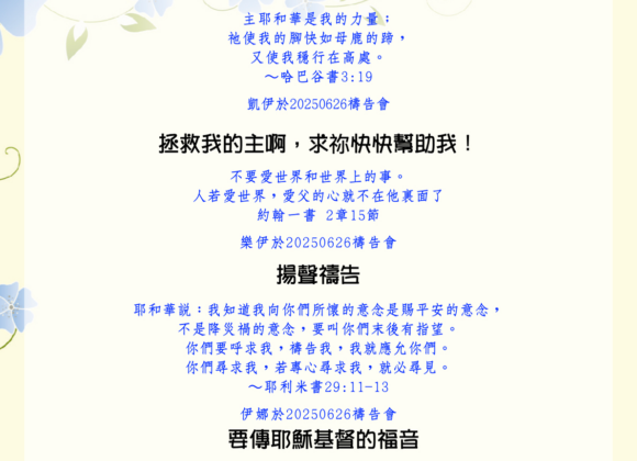 見證分享：穩行在神的光中