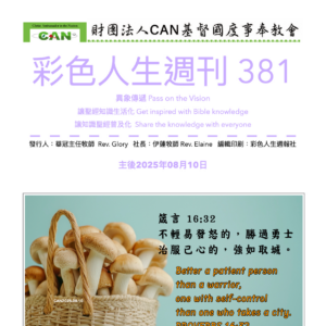 彩色人生週刊 第 381期