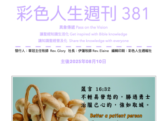彩色人生週刊 第 381期