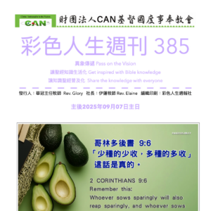 彩色人生週刊 第 385期
