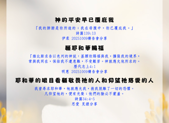 神的平安早已覆庇我