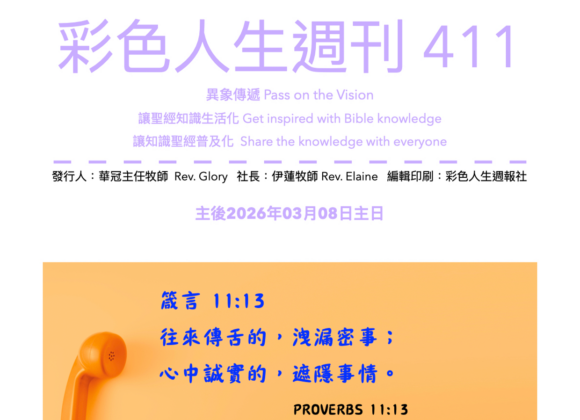 彩色人生週刊 第 411期